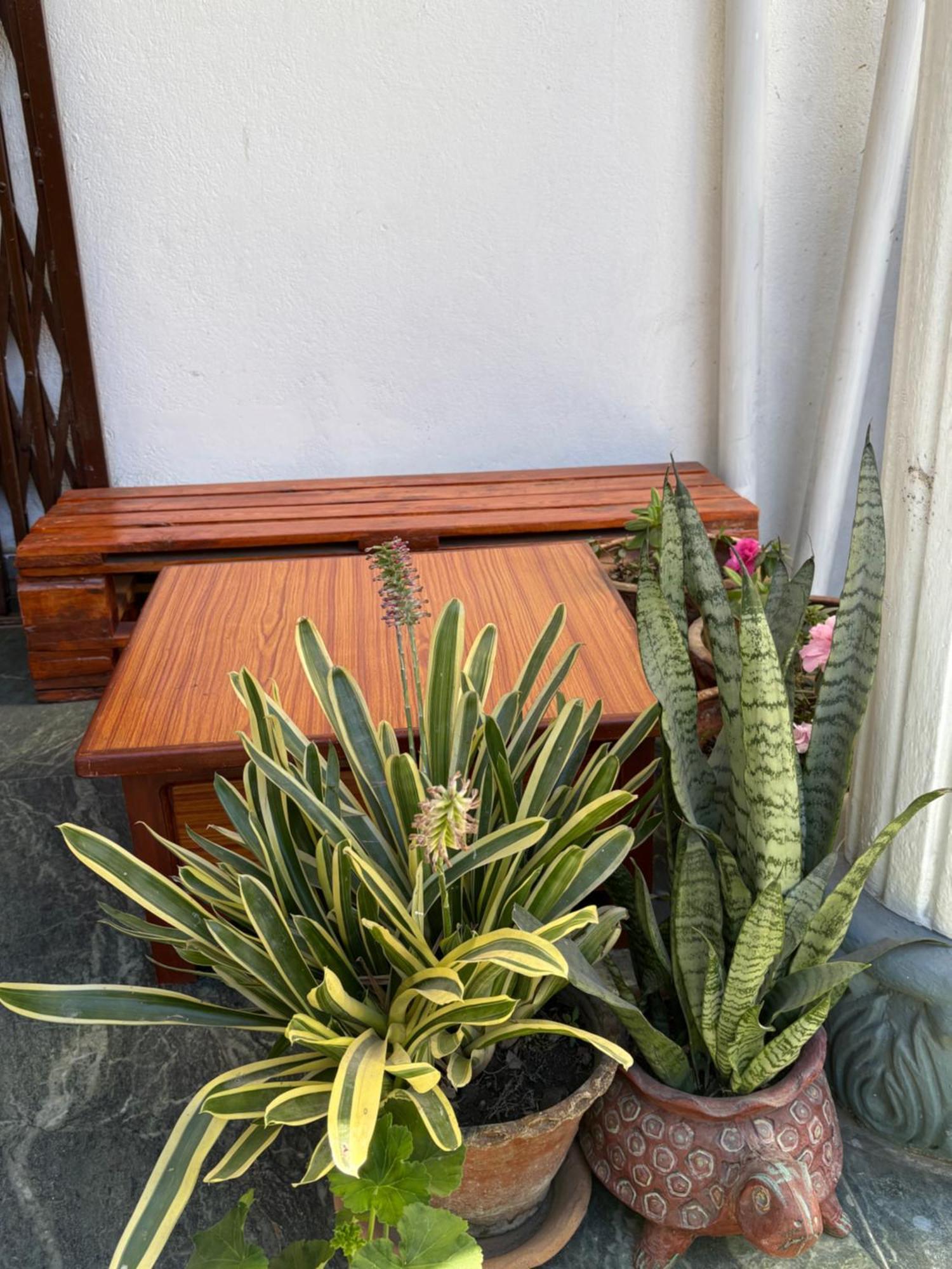 Drakon Nest Homestay Katmandu Dış mekan fotoğraf